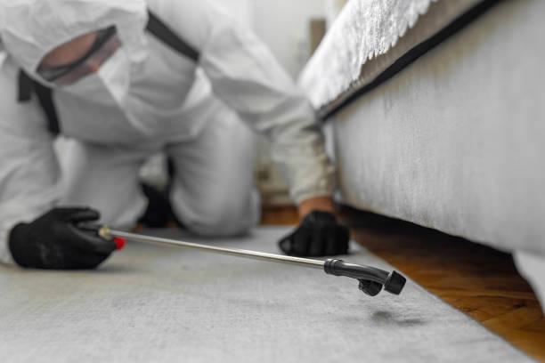 Professional Pest Control technician working in Jerome County County, ID